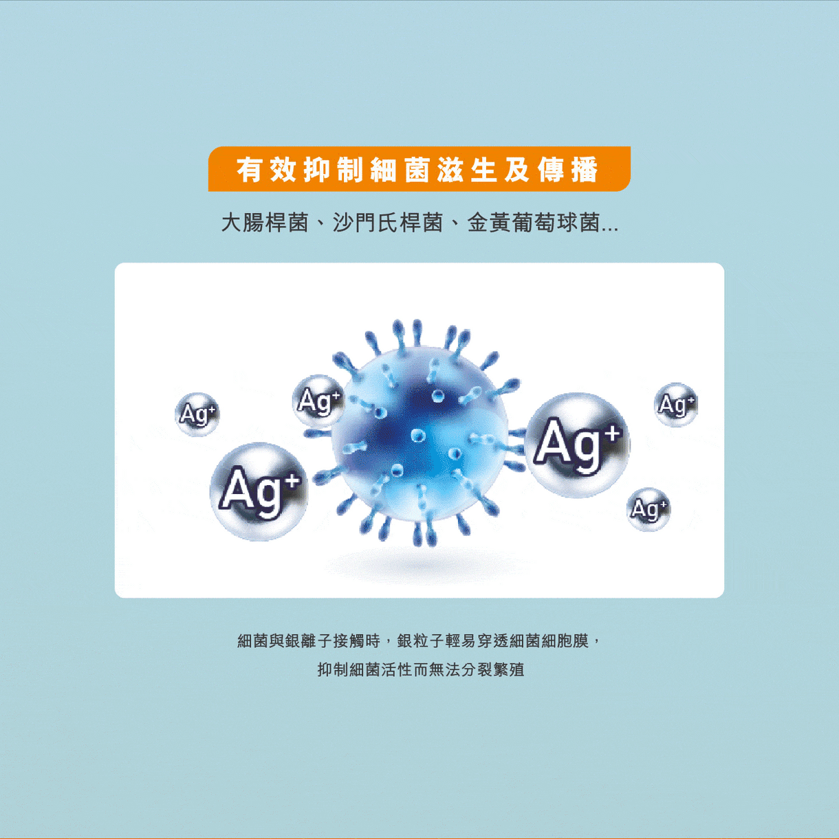 SILVER ION CEO ENPOWER® CUBE床褥
